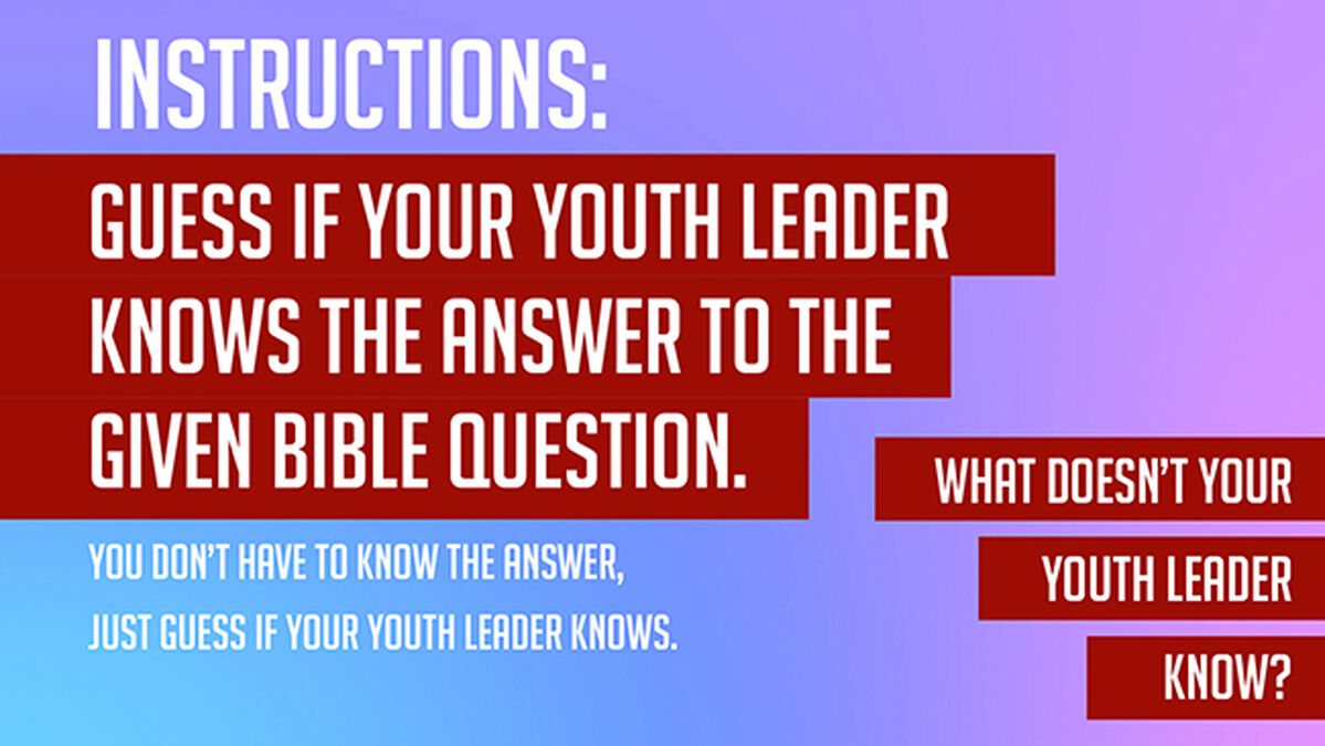 What Doesn't Your Youth Leader Know? New Edition image number null